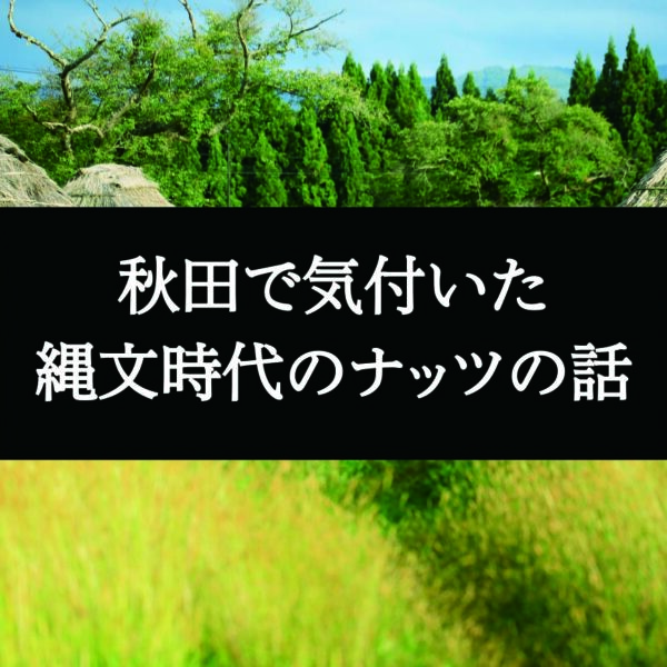 先祖からの贈り物。(ナッツ/木の実)エビデンス篇
