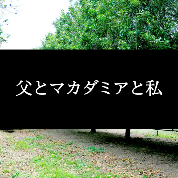 父とマカダミアナッツと私