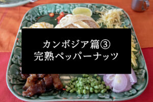 カンボジア篇③ クメール料理めぐり・完熟ペッパーナッツ