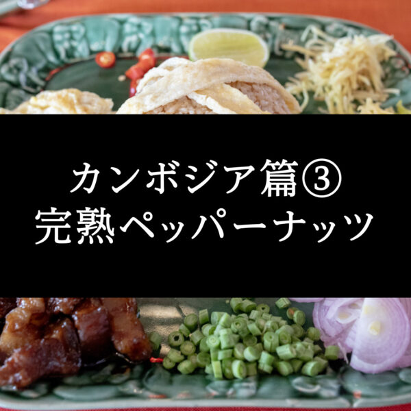 カンボジア篇③ クメール料理めぐり・完熟ペッパーナッツ